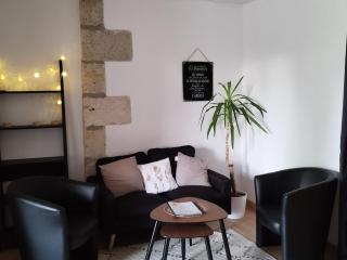 Gîte 36m² avec terrasse à Vendoire - API-1-52-1074 - 8