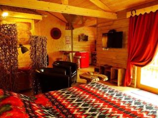 Chalet cosy avec cuisine équipée et terrasse - API-1-52-1088 - 3