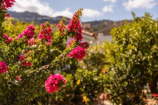 Villa Stefanotis - 4