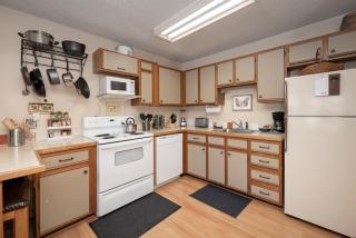 Snowblaze E102 Studio - 1