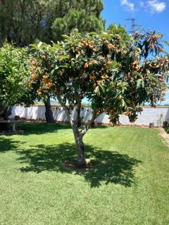 Chalet Villa Rossmar - 8