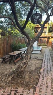 El rincón del pescador - 8