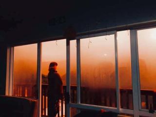 Wellington Vibes - Wellington - 2