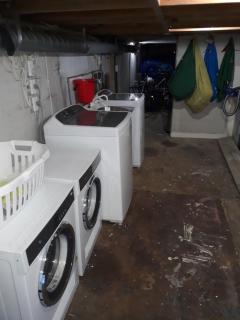 Wellington Vibes - Wellington - 3