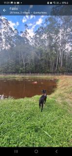 Fazenda Vila Quintão - Casa-sede Recanto das Araucárias - 7