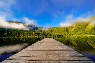 Apartments in Bad Mitterndorf - Steiermark 41123 - 1