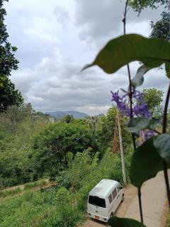 Delightfull Surrounding Ella - 8