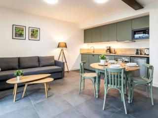 Ancienne grange rénovée près de Nantes avec spa et jardin - FR-1-306-1233 - 2