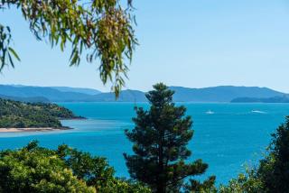 Heliconia 4 & Free Buggy- Hamilton Island - 7