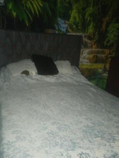 Bagala urbanización las fuentes - 5