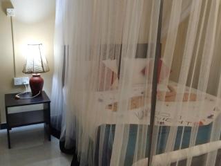 Green Bamboo House - 9