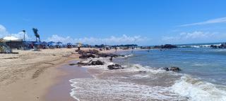 Pé na Areia Studio - 8