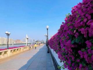 Yilandu Apartment Hotel Guangzhou Tower Pazhou International Exhibition Center Branch - 9