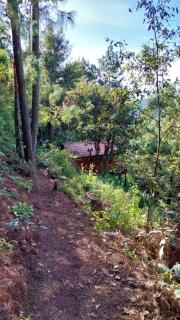 Cabaña en el Bosque de San José del Pacifico 2 - 1