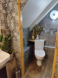 Lion Heart Apartament Traugutta 47 - 9