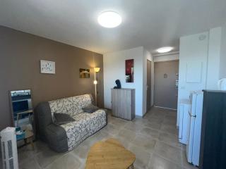 Studio confortable proche plage, animaux admis - FR-1-338-637 - 9