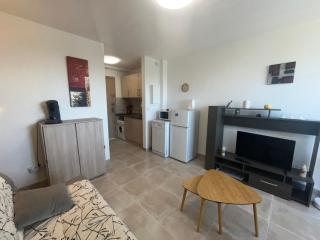 Studio confortable proche plage, animaux admis - FR-1-338-637 - 4