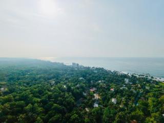 Tiny Royal Palace - 6