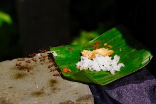 Oemah Ubud - Waterfall - 4