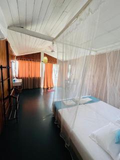 Why Not Guest house - Hikkaduwa - 2