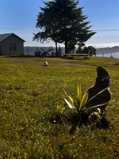 Cabaña arriendo Salome - 9