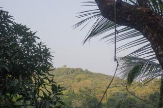 The Forest villa - 8