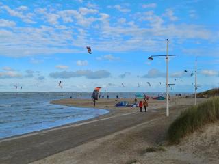 Villa Maris Stella à 250m de la plage de Petit Fort Philippe - 4