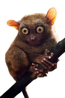 New Family Homestay - 0