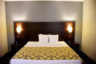 Baymont by Wyndham Morton - 2