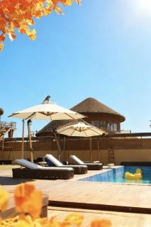 理想东方白鹭集 - 0