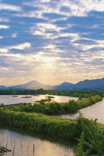 理想东方白鹭集 - 8