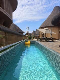 理想东方白鹭集 - 1