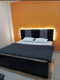 Hotel Tara Palace - 1