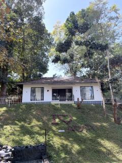 Aditi By Greenleaves Resort Vythiri - 6