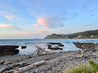 Makara Beach Escape - 9