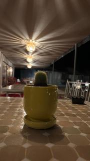 Authentic luxury desert Camp - 6