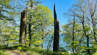 Small Private two rooms by the sea - 1