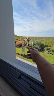 Fynbos N Sea - 0