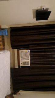 Paws and Petals Retreat - 2