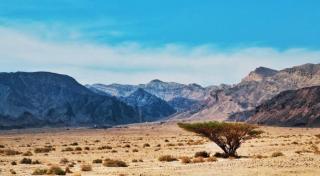 אלת המדברGoddess of the desert - 7