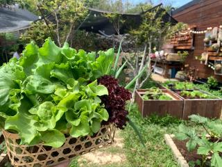 晴天慢旅 Lumière - 5