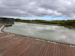 Green Heaven Studio - 1