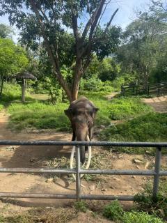 Anzhu Seamate Villa Samui - 5