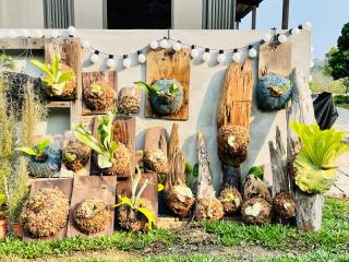 晴天慢旅 Lumière - 2