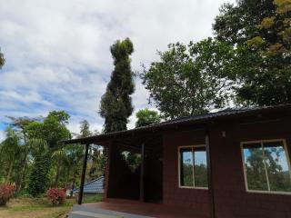 Hidden Roots Campsite - 3