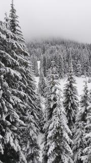 Sun Stream Apartment - 8