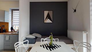 Apartament Fibra Cappuccino - Rybnik - 7