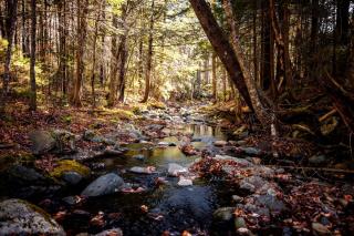 Spectacular Yurt with Breathtaking Outdoor and Indoor Spaces in Vermont - 6