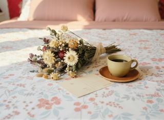 PalmCalina - PhuQui Beach House - 1