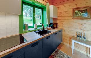 Lovely Home In Czaplinek With Lake View - 7